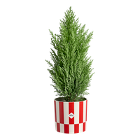 xmas blocks & stripes 15cm christmas red